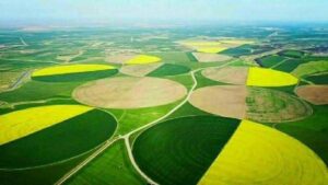 تاکید بر تکمیل تمامی ظرفیت‌های گلخانه در پارساباد مغان