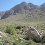 بیش از ۵ هزار سار صورتی در گرمی مشاهده شد